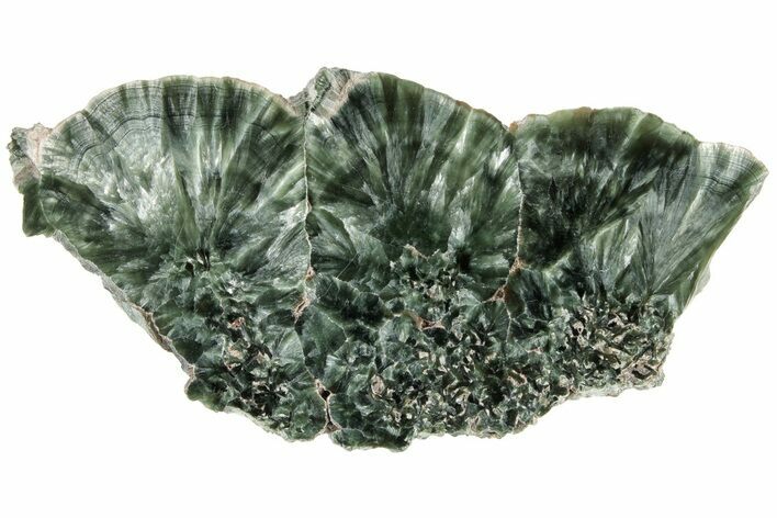 Polished Seraphinite Slab - Siberia #183540